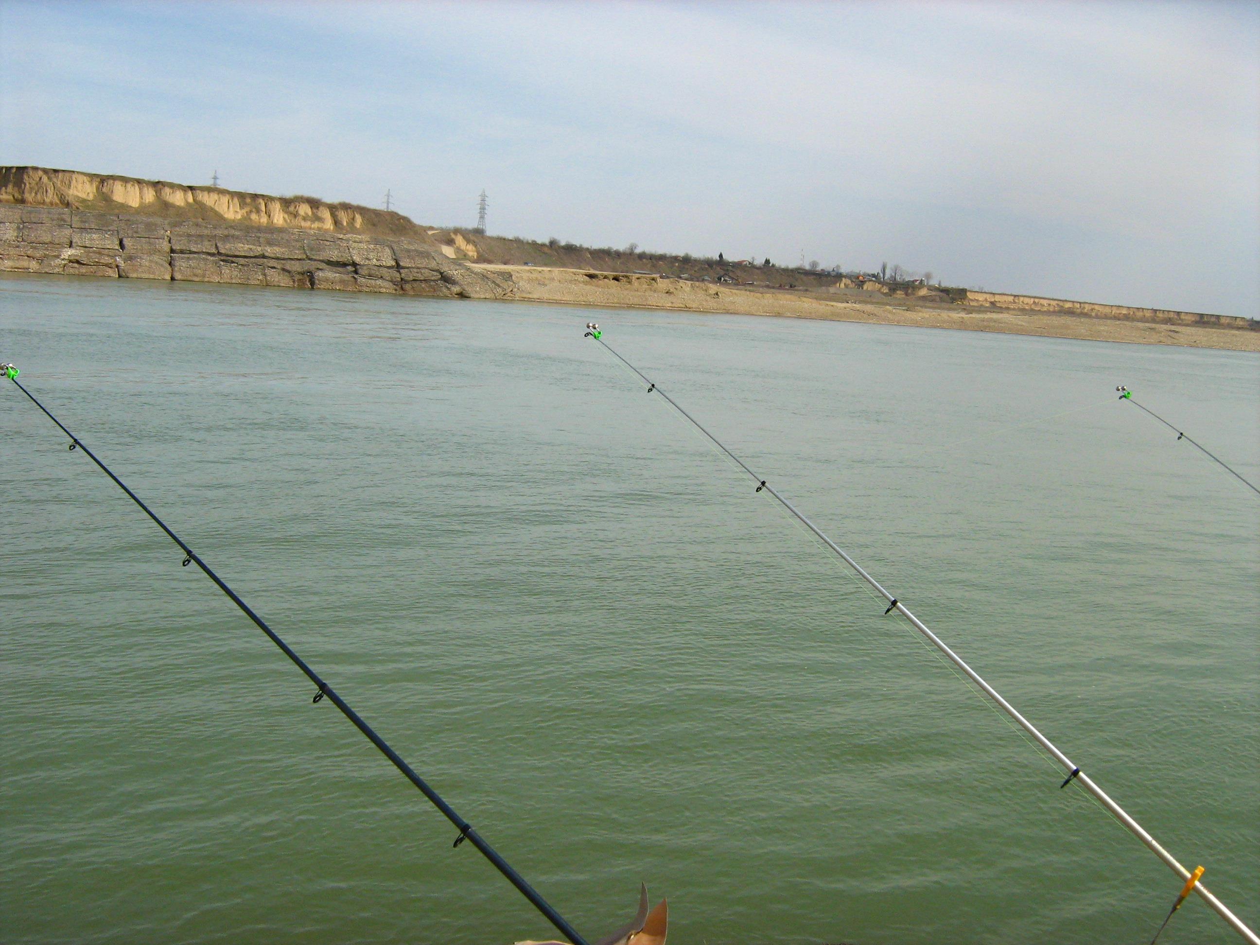 pescuit siret - 1.JPG